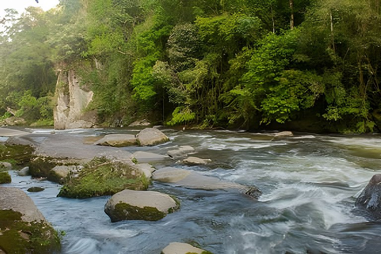 Chalé Lua Nova - Cabanas Lua Nova