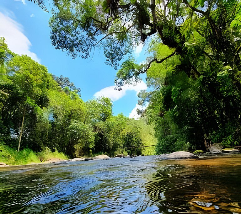 Chalé Lua Nova - Cabanas Lua Nova
